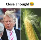 Yeah! Too close! thumbnail