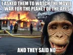 Meme Contest - Disaster Chimp - Entry # 1 thumbnail