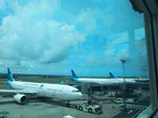 🌴🌴 Through My Lens Daily #6 in Bali Airport 🌴🌴 thumbnail