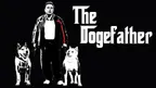 The DogeFather on SNL - Future of Dogecoin thumbnail
