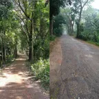 Describe Your Para: বৃষ্টি ভেজা মাটির গন্ধ thumbnail