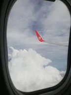 🌴🌴 Through My Lens Daily #3 in the Sky 🌴🌴 thumbnail