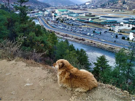 paro airport from hill