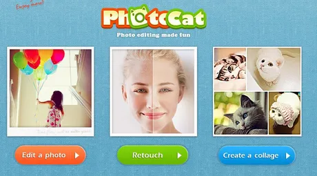 photocat photo editing.JPG
