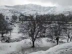 On The Way to Sonamarg | Snowfall in Kashmir thumbnail