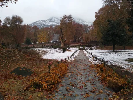 WhatsApp Image 2019-02-04 at 12.15.44 PM.jpeg