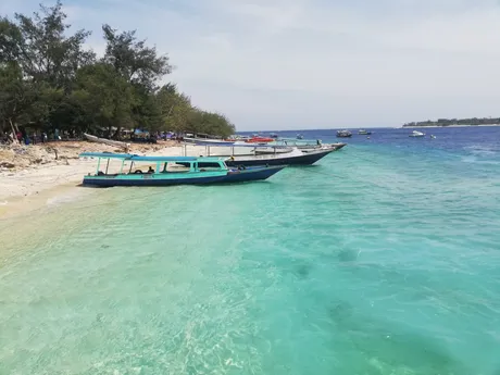 WhatsApp Image 2019-01-12 at 2.02.01 PM.jpeg