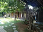 🌴🌴 Through My Lens Daily #12 Bali Hostel 🌴🌴 thumbnail