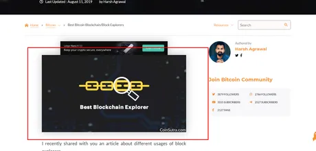 image plagiarism example