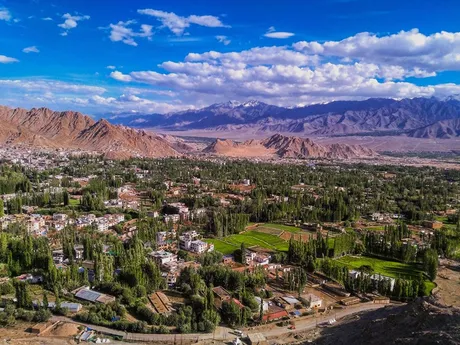 ladakh from hill.jpg